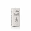 Szałwia lekarska olejek eteryczny 100% 10 ml